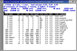 screenshot of top cmd snapshot